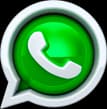 Falar no WhatsApp