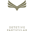 Logo - Ferreira Detetive